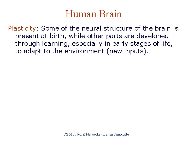 Human Brain Plasticity: Some of the neural structure of the brain is present at