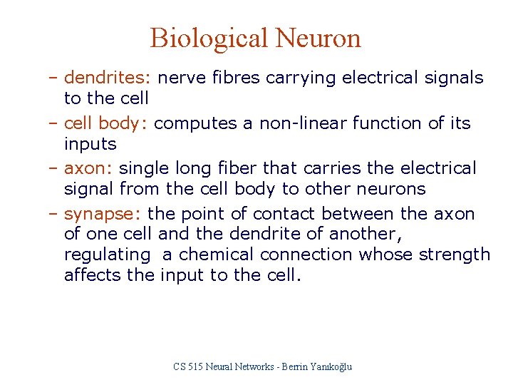 Biological Neuron – dendrites: nerve fibres carrying electrical signals to the cell – cell