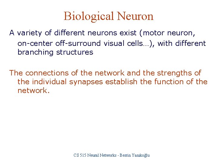 Biological Neuron A variety of different neurons exist (motor neuron, on-center off-surround visual cells…),