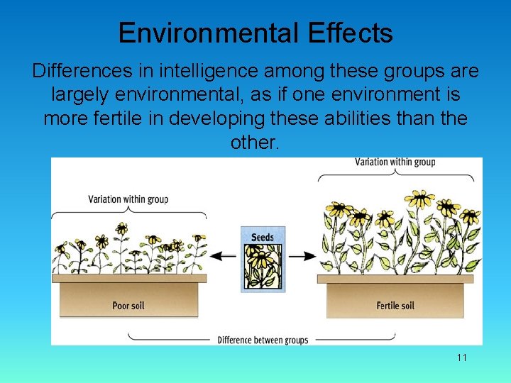 Environmental Effects Differences in intelligence among these groups are largely environmental, as if one