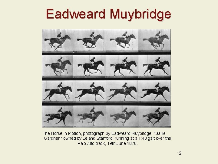 Eadweard Muybridge The Horse in Motion, photograph by Eadweard Muybridge. "Sallie Gardner, " owned