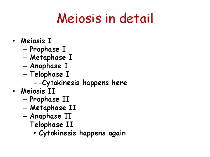 Meiosis in detail • Meiosis I – Prophase I – Metaphase I – Anaphase