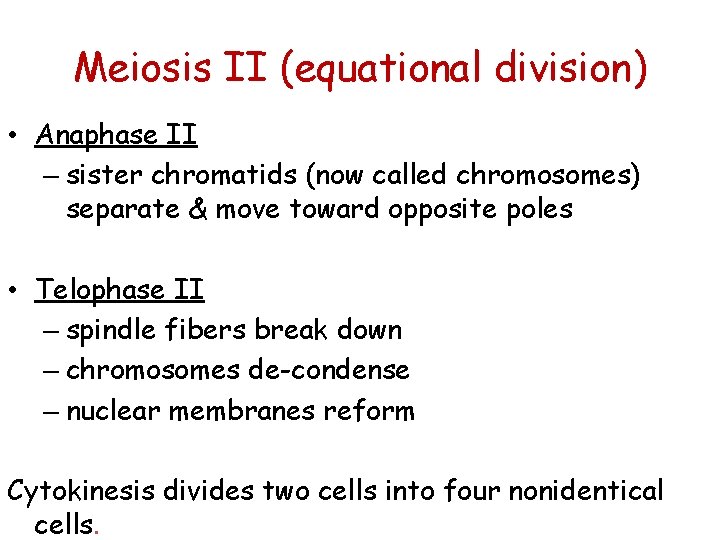 Meiosis II (equational division) • Anaphase II – sister chromatids (now called chromosomes) separate