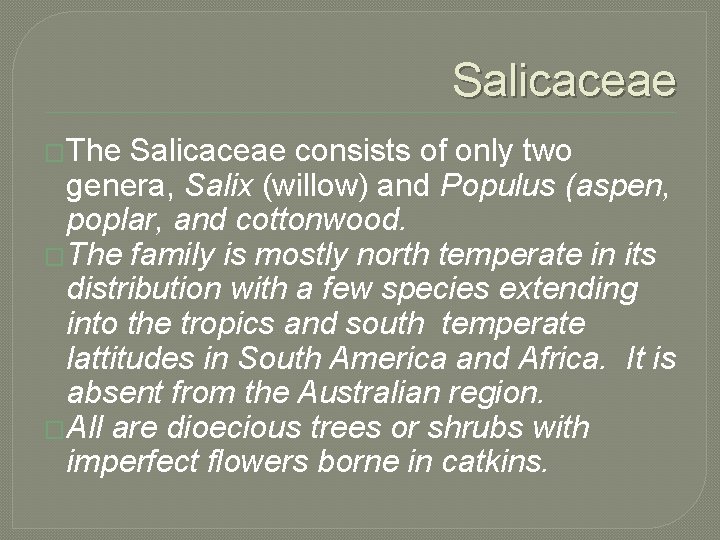 Salicaceae �The Salicaceae consists of only two genera, Salix (willow) and Populus (aspen, poplar,