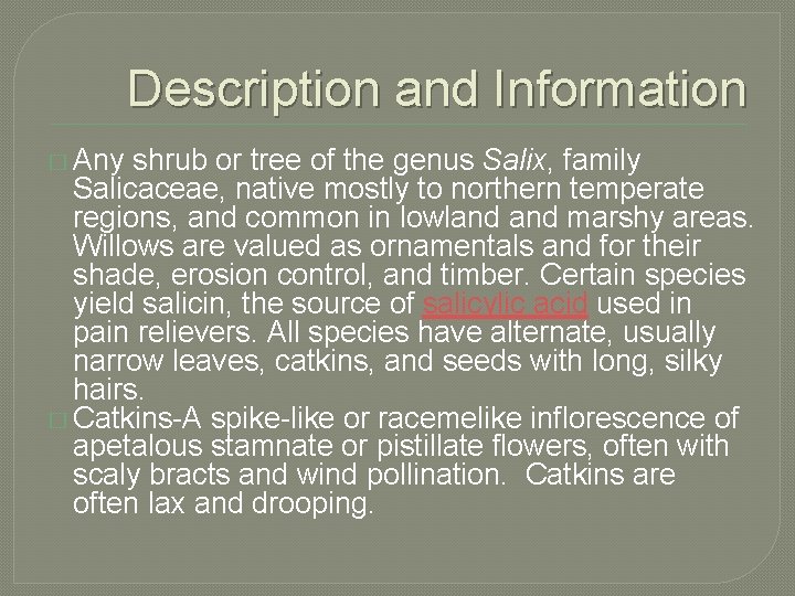 Description and Information � Any shrub or tree of the genus Salix, family Salicaceae,
