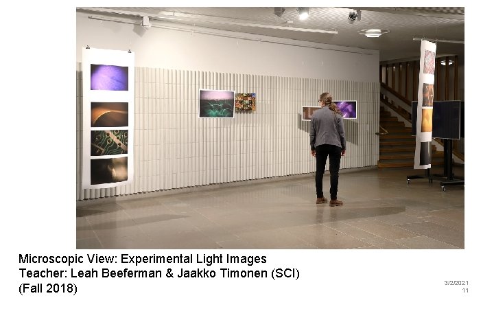 Microscopic View: Experimental Light Images Teacher: Leah Beeferman & Jaakko Timonen (SCI) (Fall 2018)