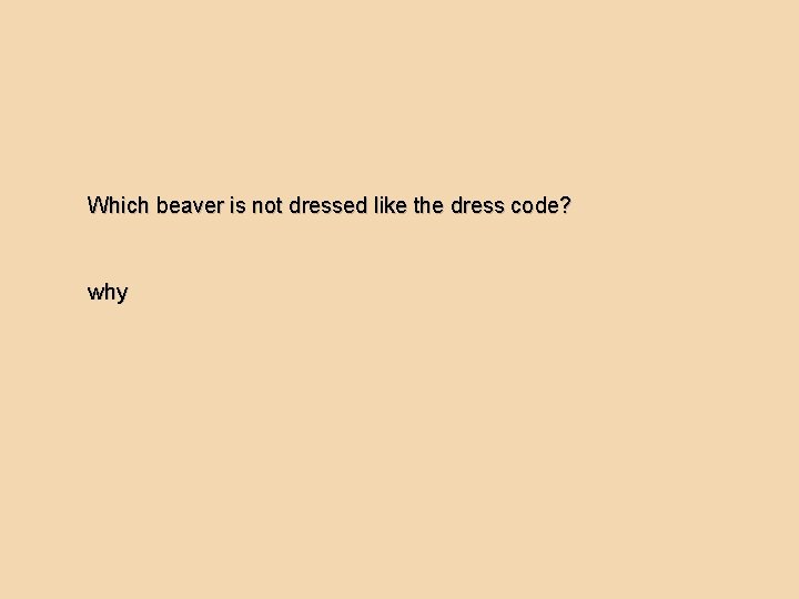 Which beaver is not dressed like the dress code? why 