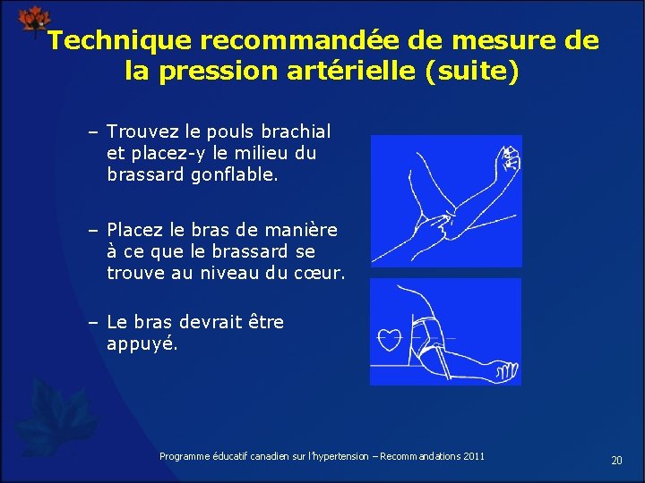 Technique recommandée de mesure de la pression artérielle (suite) – Trouvez le pouls brachial