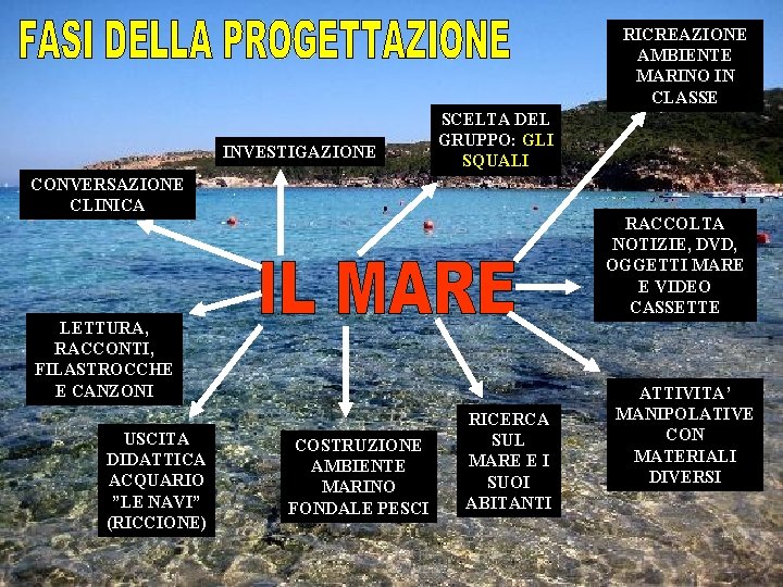 RICREAZIONE AMBIENTE MARINO IN CLASSE INVESTIGAZIONE SCELTA DEL GRUPPO: GLI SQUALI CONVERSAZIONE CLINICA RACCOLTA