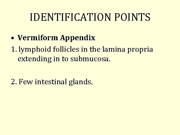IDENTIFICATION POINTS • Vermiform Appendix 1. lymphoid follicles in the lamina propria extending in