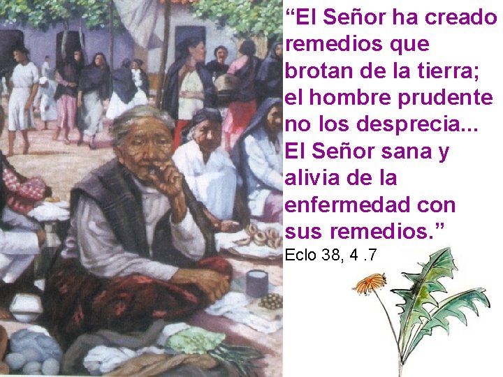 “El Señor ha creado remedios que brotan de la tierra; el hombre prudente no