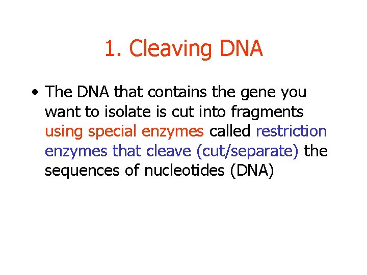 1. Cleaving DNA • The DNA that contains the gene you want to isolate