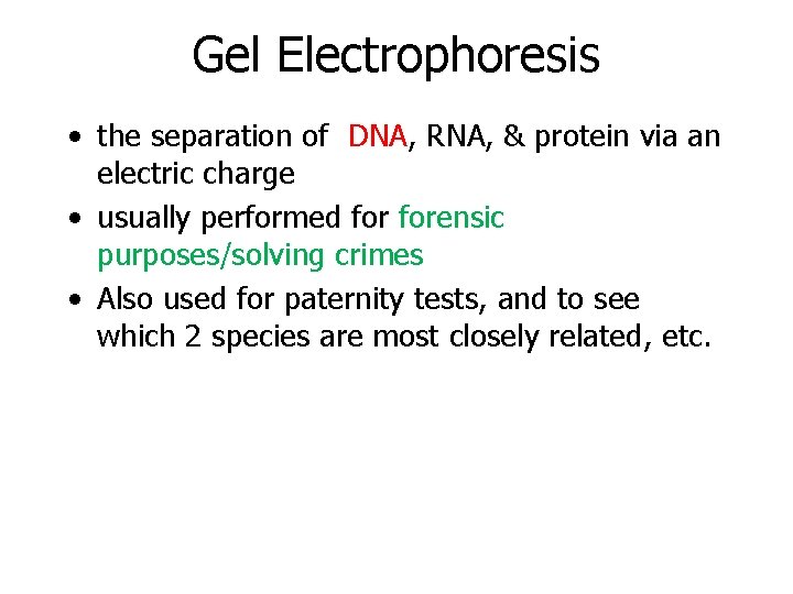 Gel Electrophoresis • the separation of DNA, RNA, & protein via an electric charge