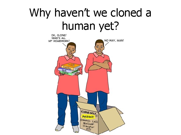 Why haven’t we cloned a human yet? 