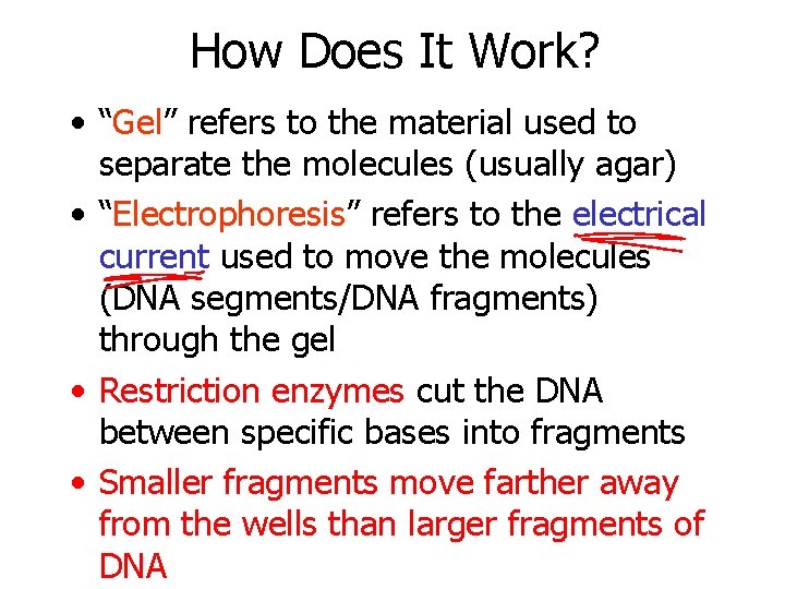 How Does It Work? • “Gel” refers to the material used to separate the