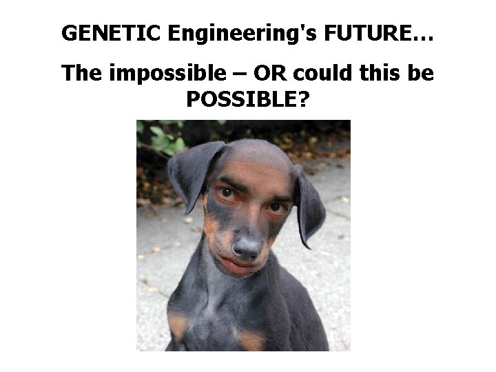 GENETIC Engineering's FUTURE… The impossible – OR could this be POSSIBLE? 