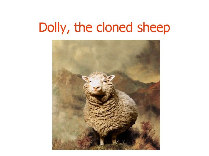 Dolly, the cloned sheep 