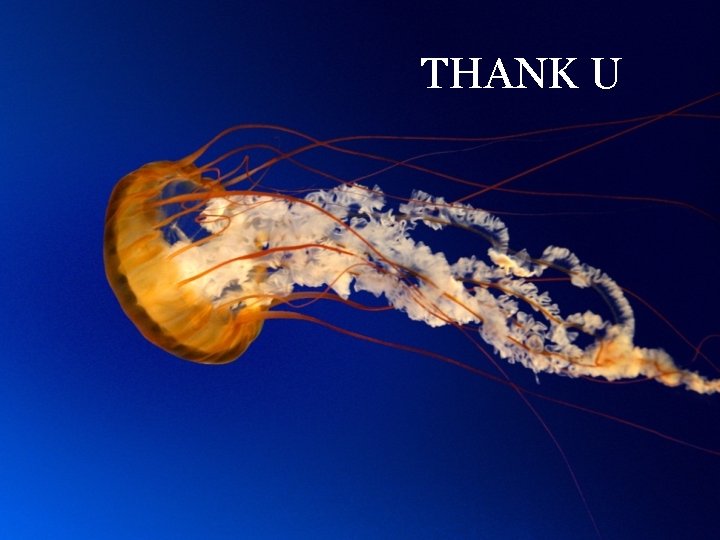 THANK U 