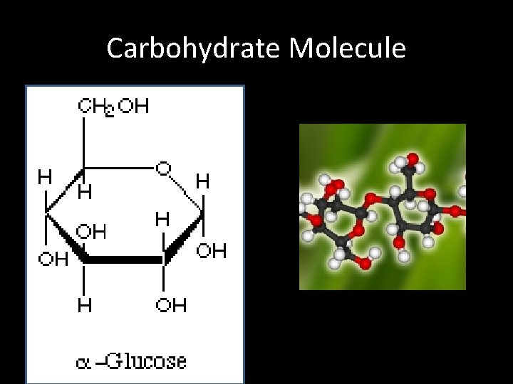 Carbohydrate Molecule 