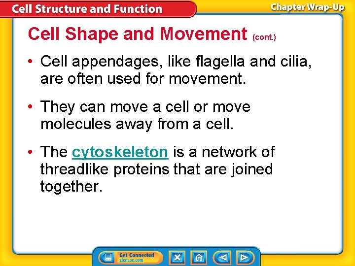 Cell Shape and Movement (cont. ) • Cell appendages, like flagella and cilia, are