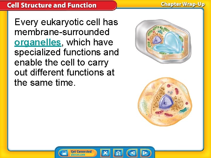 Every eukaryotic cell has membrane-surrounded organelles, which have specialized functions and enable the cell