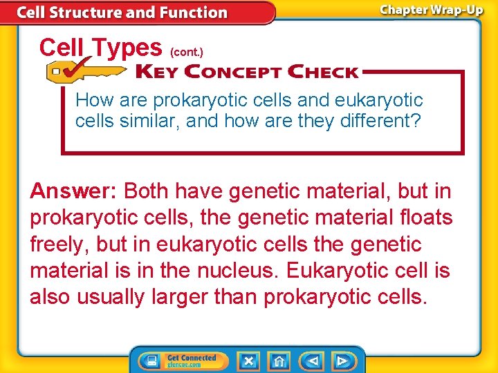 Cell Types (cont. ) How are prokaryotic cells and eukaryotic cells similar, and how