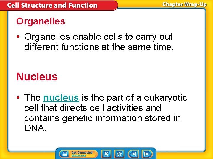 Organelles • Organelles enable cells to carry out different functions at the same time.