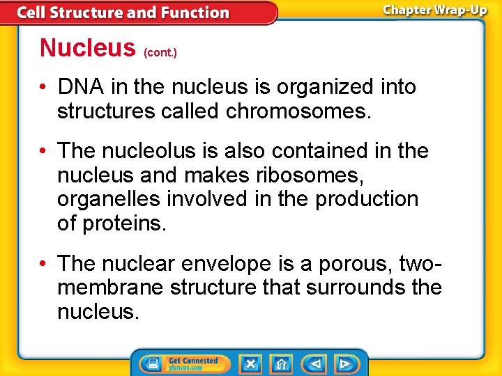 Nucleus (cont. ) • DNA in the nucleus is organized into structures called chromosomes.