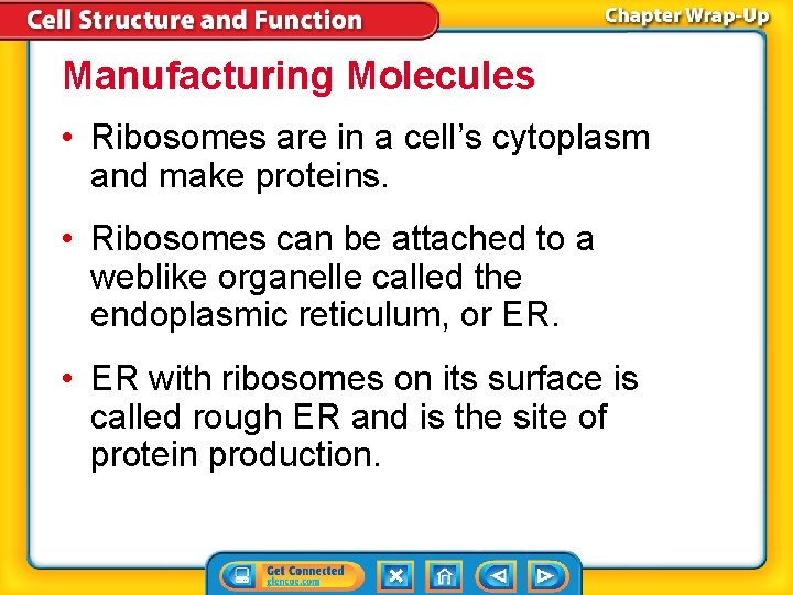 Manufacturing Molecules • Ribosomes are in a cell’s cytoplasm and make proteins. • Ribosomes