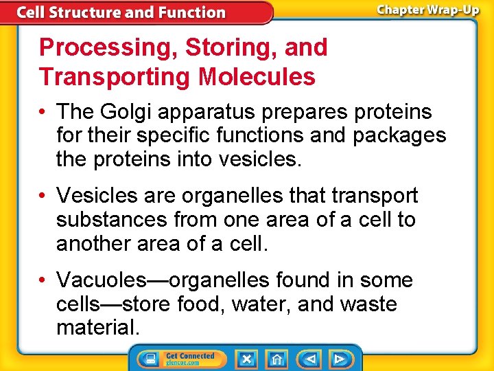 Processing, Storing, and Transporting Molecules • The Golgi apparatus prepares proteins for their specific