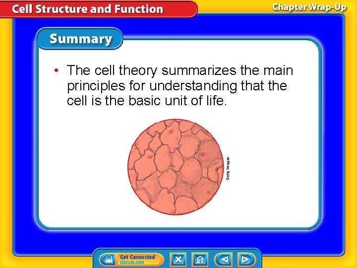 Getty Images • The cell theory summarizes the main principles for understanding that the