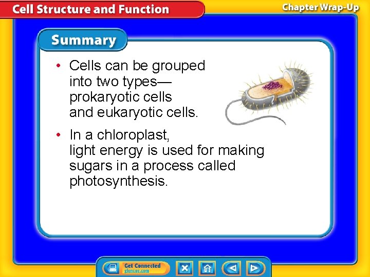  • Cells can be grouped into two types— prokaryotic cells and eukaryotic cells.