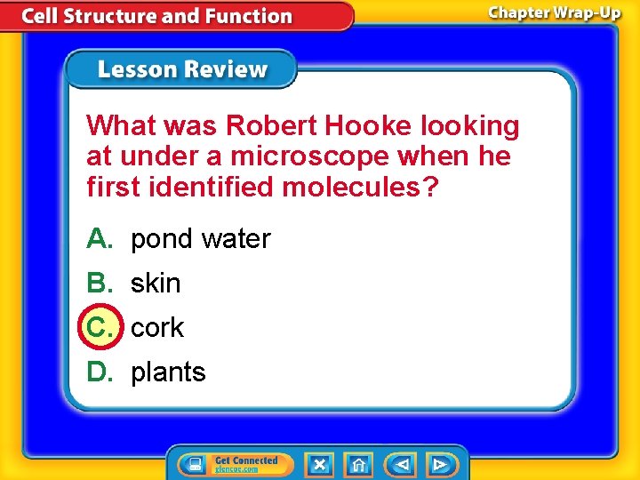 What was Robert Hooke looking at under a microscope when he first identified molecules?