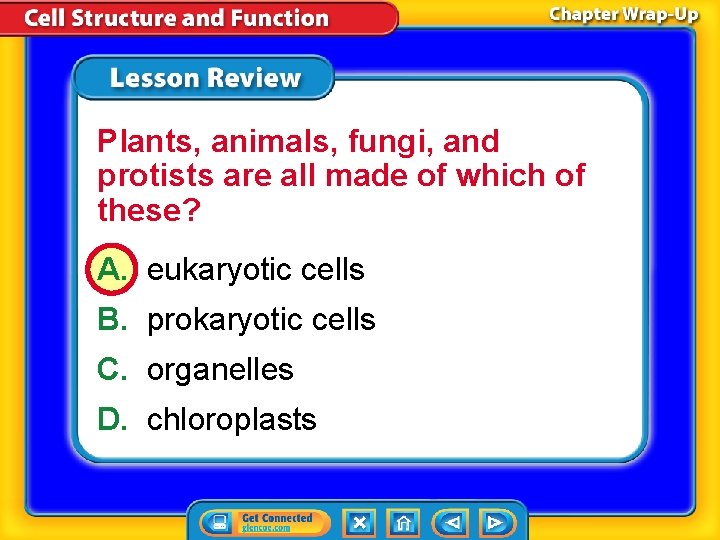 Plants, animals, fungi, and protists are all made of which of these? A. eukaryotic