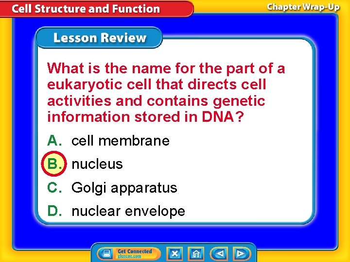 What is the name for the part of a eukaryotic cell that directs cell