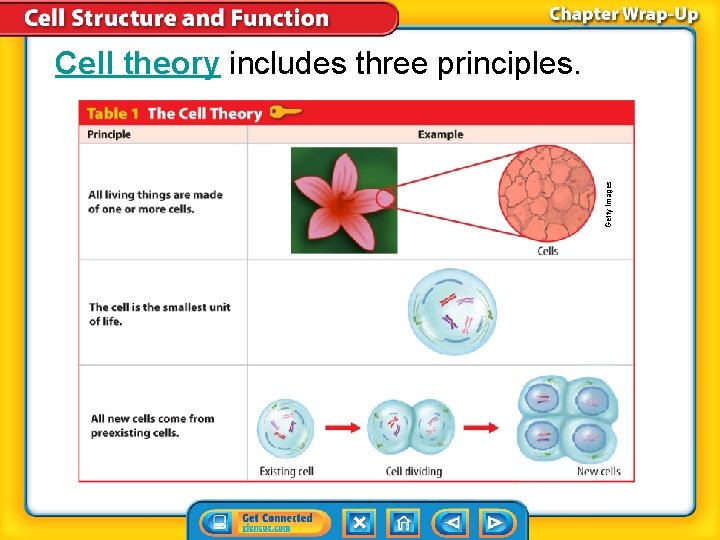 Getty Images Cell theory includes three principles. 