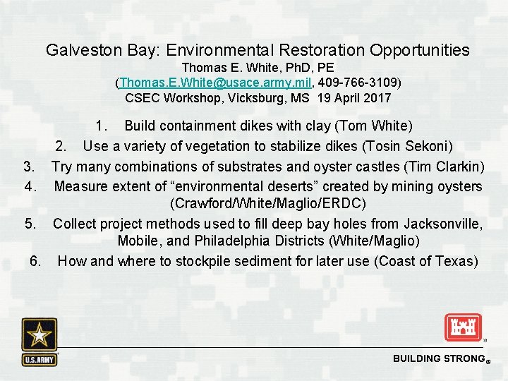 Galveston Bay: Environmental Restoration Opportunities Thomas E. White, Ph. D, PE (Thomas. E. White@usace.