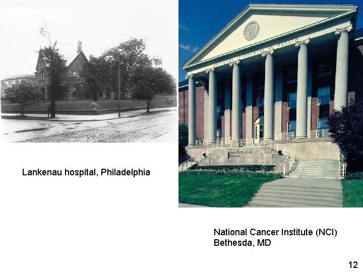 Lankenau hospital, Philadelphia National Cancer Institute (NCI) Bethesda, MD 12 