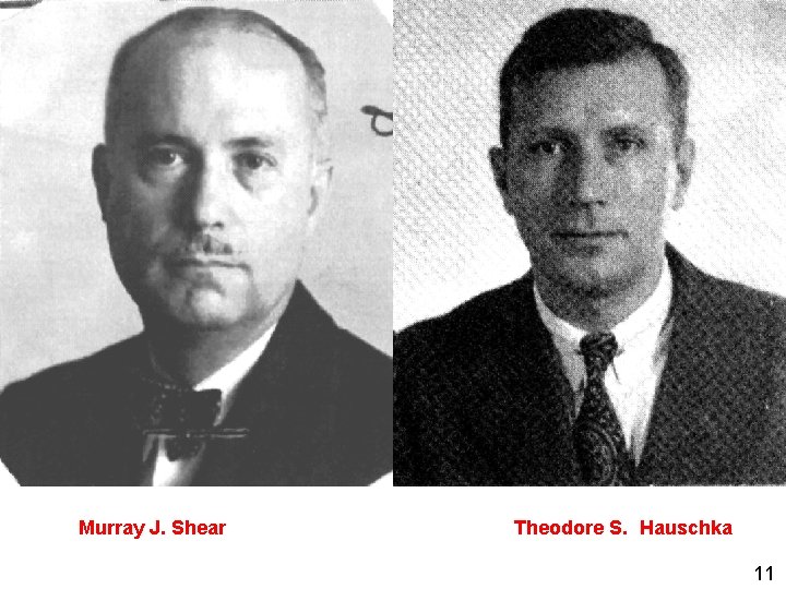 Murray J. Shear Theodore S. Hauschka 11 