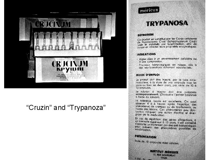 “Cruzin” and “Trypanoza” 