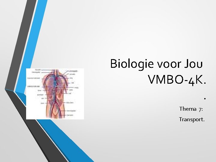 Biologie voor Jou VMBO-4 K. . Thema 7: Transport. 