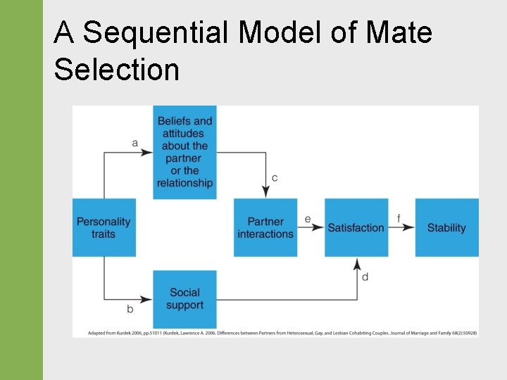 A Sequential Model of Mate Selection 