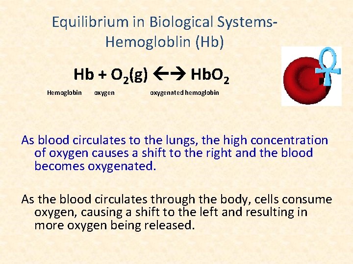 Equilibrium in Biological Systems. Hemogloblin (Hb) Hb + O 2(g) Hb. O 2 Hemoglobin