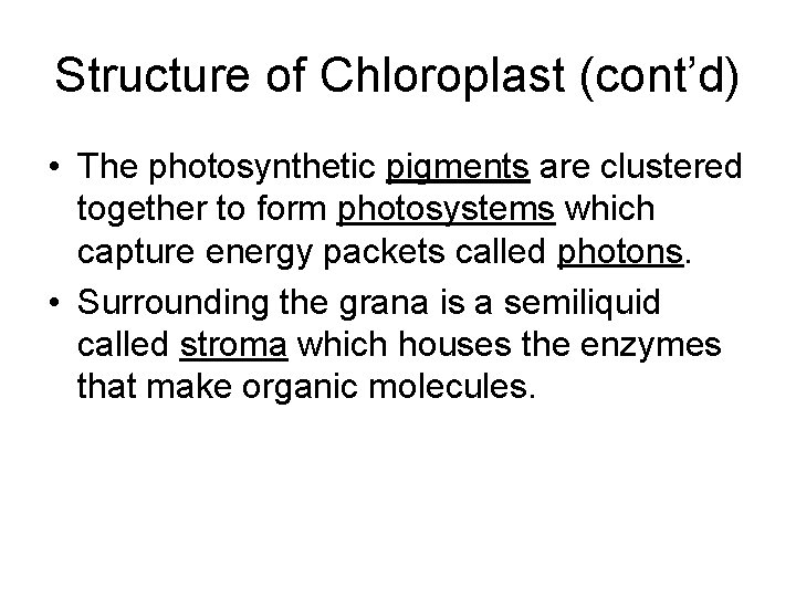 Structure of Chloroplast (cont’d) • The photosynthetic pigments are clustered together to form photosystems