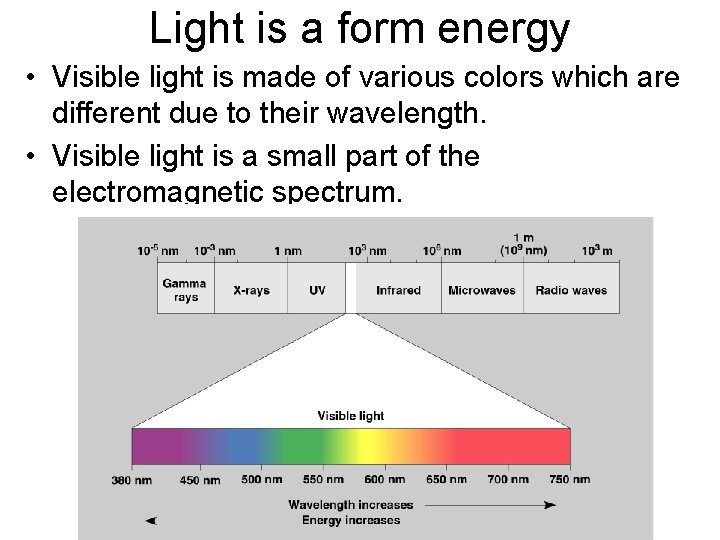 Light is a form energy • Visible light is made of various colors which