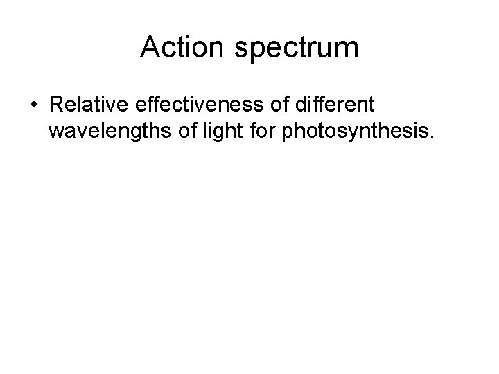 Action spectrum • Relative effectiveness of different wavelengths of light for photosynthesis. 
