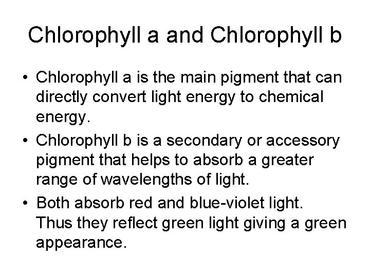 Chlorophyll a and Chlorophyll b • Chlorophyll a is the main pigment that can