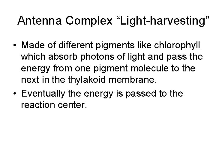 Antenna Complex “Light-harvesting” • Made of different pigments like chlorophyll which absorb photons of