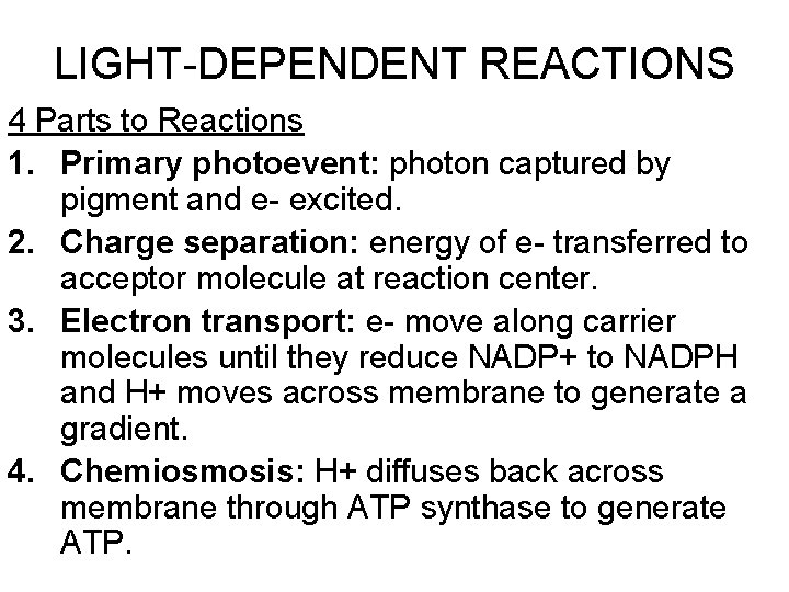 LIGHT-DEPENDENT REACTIONS 4 Parts to Reactions 1. Primary photoevent: photon captured by pigment and