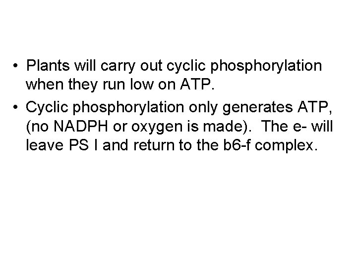  • Plants will carry out cyclic phosphorylation when they run low on ATP.